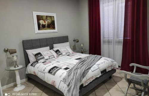 Cactus house - Foto 52