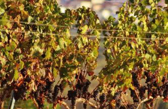 La Casa dels Abeuradors - Foto 70