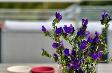 Coastal Breeze Villa in Sesimbra - Foto 57