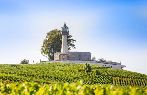 CK Suite & Spa Reims - Foto 37