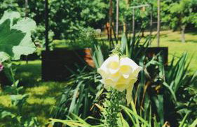 Czerwony Dworek 8 - Agroturystyka Karkonosze - Foto 14