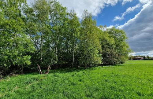 Ferienwohnung Lootsenhuus 85115 - Foto 18