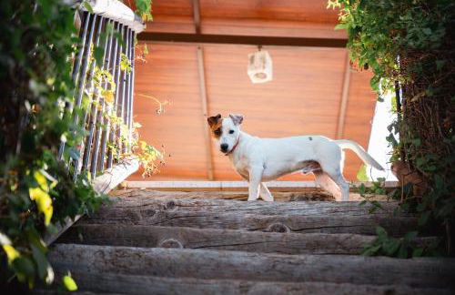 Finca Los Pajaros cerca de Puy du fou Toledo - Foto 14