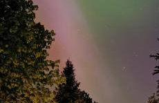 Bliss Garden Retreat House ZielonoMi - Foto 61