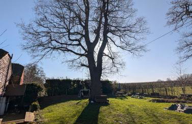 Lavender Cottage - Foto 31