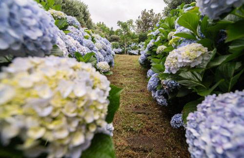 Atlantic Seaview Window - Photo 70