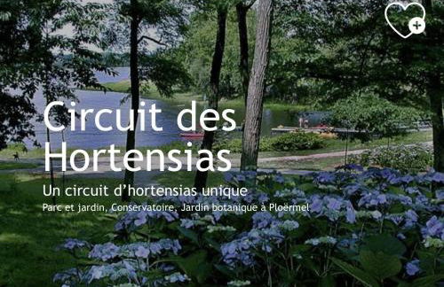Studio, sur le Chemin des Hortensias - Foto 12