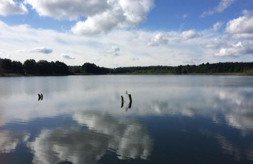 Nachtigall - Foto 33