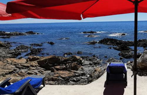 Pieds dans l'eau - La Villa Crique aux tortues - Foto 26