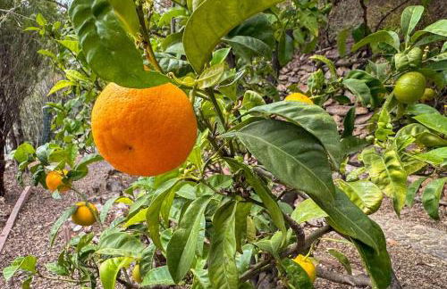 5 min from the sea - Jacuzzi Garden Parking Wifi - Foto 24