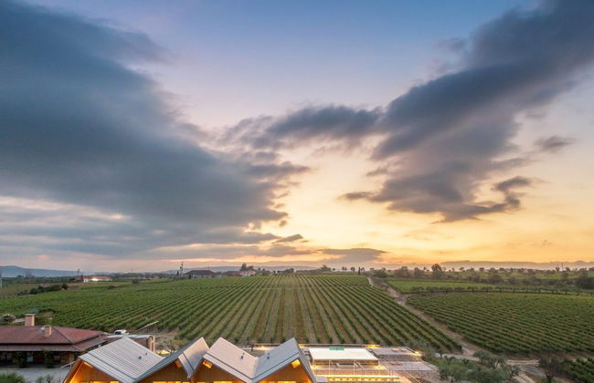 QUINTA DA FAISCA - Agro Turismo - Foto 15