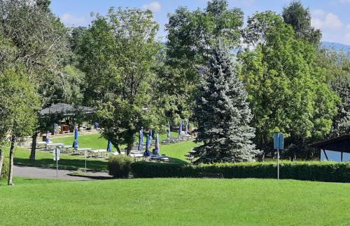 Holiday Home Renovierter Bungalow in Dörmbach by Interhome - Foto 35