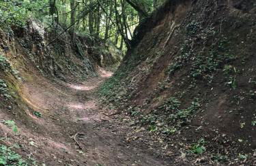 Chalet authentique à Clermont-Créans avec piscine partagée - Photo 28