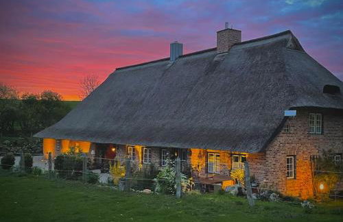 idyllisch gelegenes Ferienhaus nähe Heiligenhafen - Foto 29