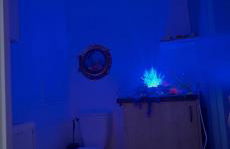 La Belle et le Nooki - Foto 61