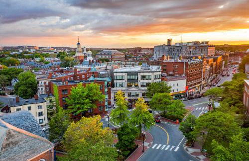 Serene 4BR 3BA Apt Near Harvard MIT Sleeps 11 - Foto 50