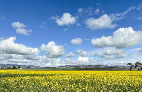 Orchard Chalet - Foto 13