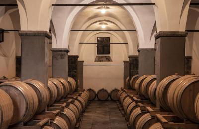 Castello Pomino - Foto 5