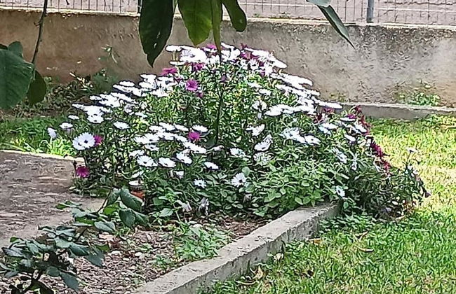 Lovely 2-bedroom Villa in Akrata, all Seasons! - Foto 40