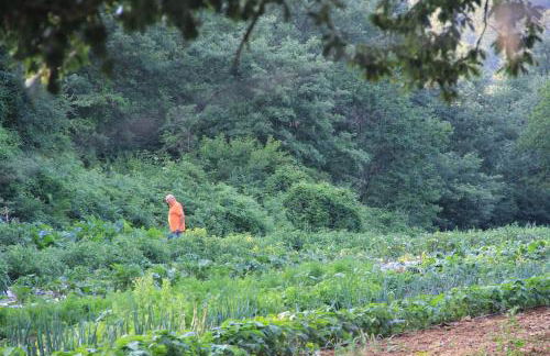 Bio Agriturismo Aia del Tufo - Foto 25
