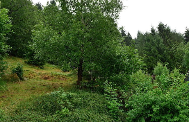 Wohnung bei Willingen fur Wintersport - Foto 36