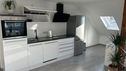 Schöne, ruhig gelegene Wohnung - Foto 5, stove, dishwasher