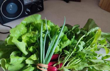 EkoStolarnia - Foto 10