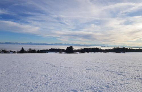 Jules Traum im Schwarzwald - Foto 74
