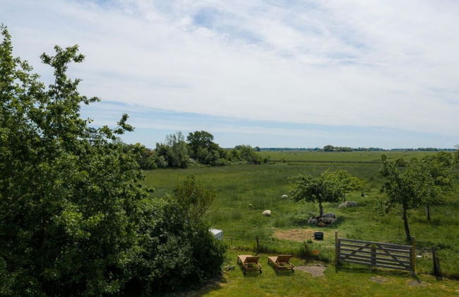 House by the Paddock - Foto 23