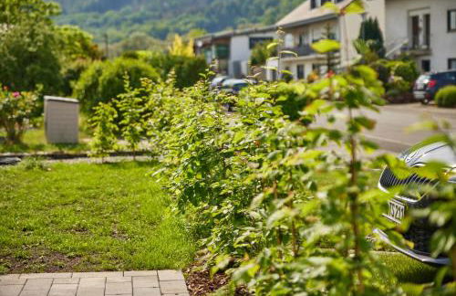 Mittelmosel Panorama Ferienwohnung - Foto 18