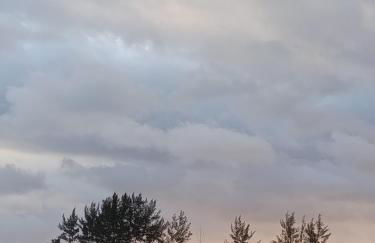 Casa Verde da Ari - Foto 31