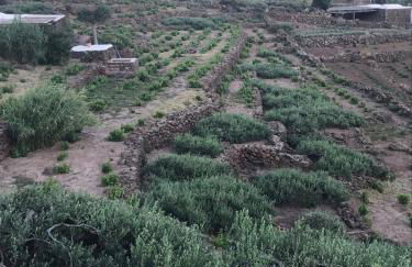 Dammusi IL SERRALH -Pantelleria- - Foto 25