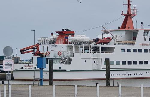 Ferienwohnung FeWo Plaggenburg - Das Familienreich - Photo 32