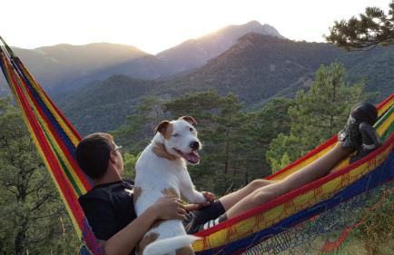 La Pegatera Masia rodeada de bosque ideal para desconectar - Photo 76