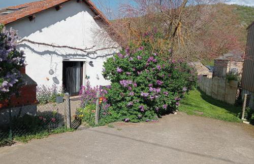 La Cabane du Berger & son terrain de pétanque - Foto 11