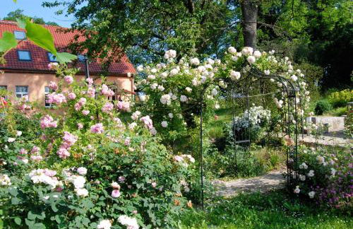 Feriendomizil Alter Garten - Photo 64