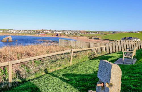 Sea Campion - Foto 32