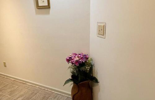 Stylish home in Apex near Raleigh - Foto 42