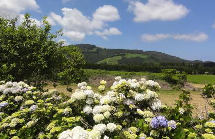 Quinta do Chico Feijão - Photo 7