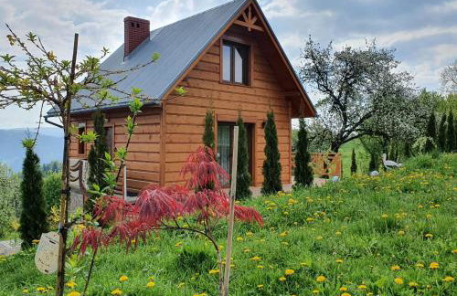 Domek Góralski Piwowarówka - Foto 58