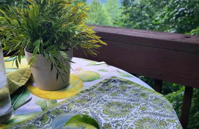 Top of the Line Asheville Mountain Cabin - Foto 72