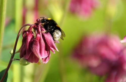 Schauenburgblick - Foto 24