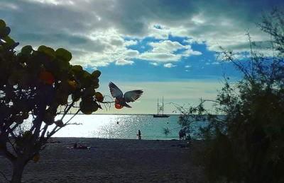 Casa Sonny - Foto 44