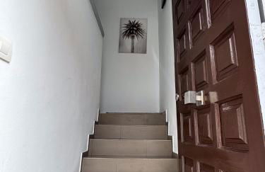 Phoenix Canariensis - Foto 5