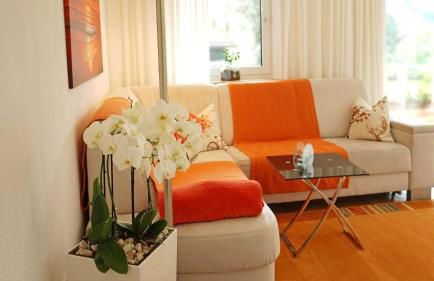 Haus Panorama - Foto 24