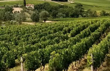 La casa dì Nonno - Foto 22