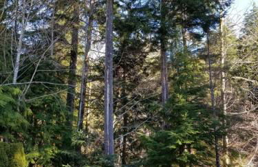 A Relaxing Getaway SolDuc 1 - Foto 33