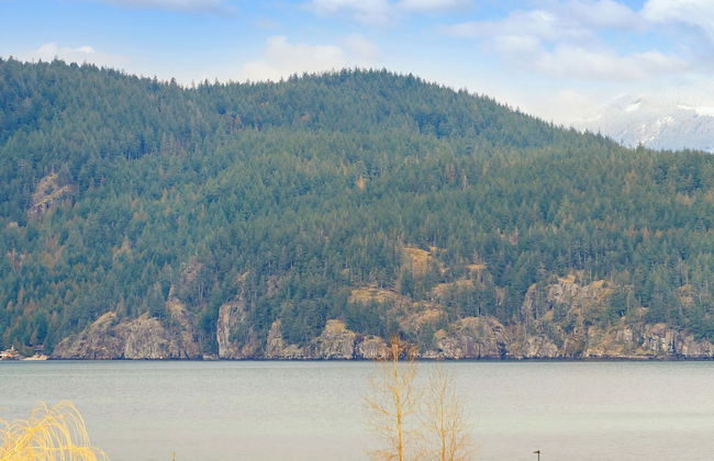 Harmony Haven 2BR Lakefront Suite - Photo 74