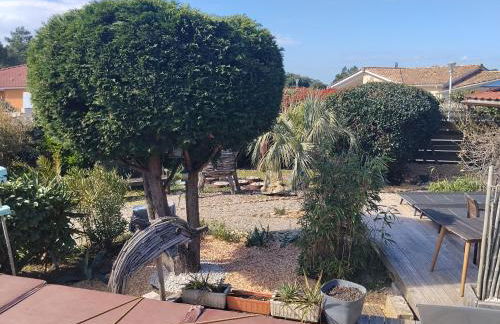 vensac ocean montalivet - Foto 50