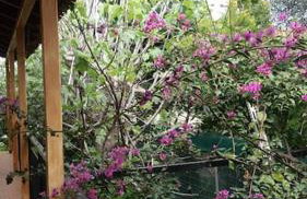 Ideal Cottage Holidays-Ιδανικές Εξοχικές Διακοπές - Foto 35